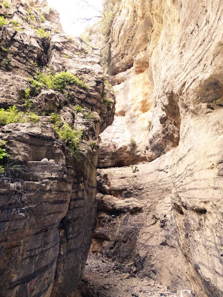 Girit ıslan üzerinde yüksek dağlar ve çam ormanı manzara Gorge