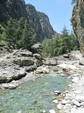 Girit ıslan üzerinde yüksek dağlar ve çam ormanı manzara Gorge