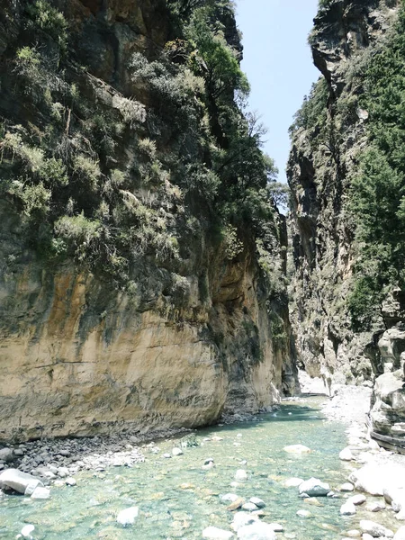 Girit ıslan üzerinde yüksek dağlar ve çam ormanı manzara Gorge