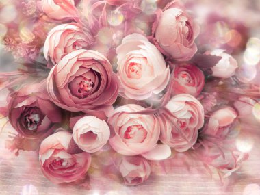 Peonies çiçekler bahar çiçek arka plan kartı