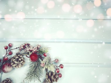 köknar dalları konileri ve kar ile kış arka plan