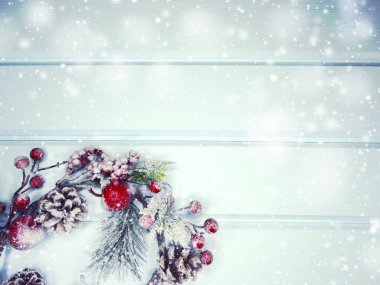 köknar dalları konileri ve kar ile kış arka plan