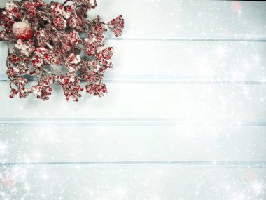 köknar dalları konileri ve kar ile kış arka plan