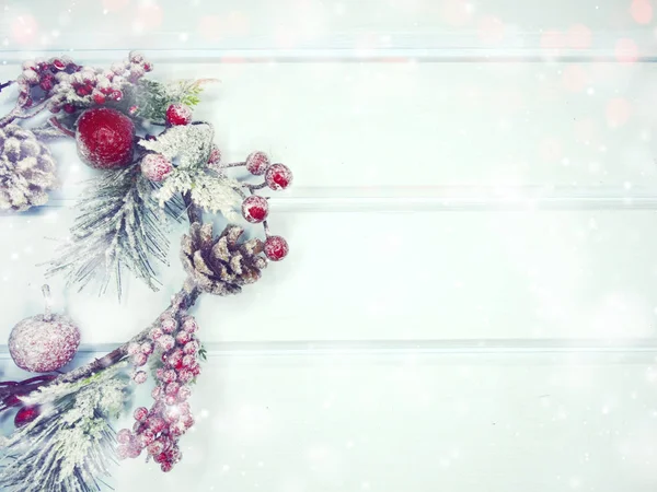 köknar dalları konileri ve kar ile kış arka plan