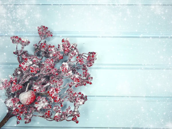 köknar dalları konileri ve kar ile kış arka plan