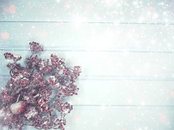 Зимний фон с конусами елки и снегом — стоковое фото