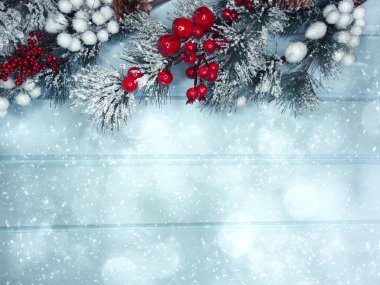 köknar dalları konileri ve kar ile kış arka plan