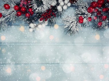 köknar dalları konileri ve kar ile kış arka plan