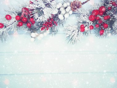 köknar dalları konileri ve kar ile kış arka plan