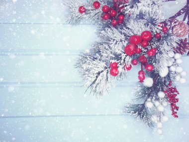 köknar dalları konileri ve kar ile kış arka plan