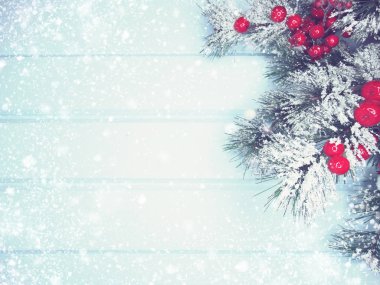 köknar dalları konileri ve kar ile kış arka plan