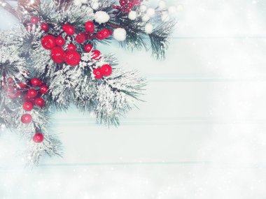 köknar dalları konileri ve kar ile kış arka plan