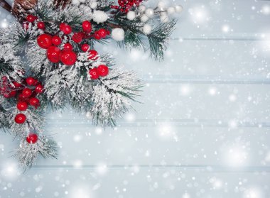 köknar dalları konileri ve kar ile kış arka plan