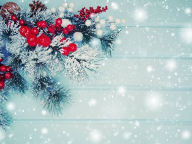 köknar dalları konileri ve kar ile kış arka plan