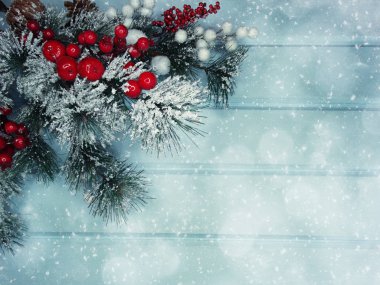 köknar dalları konileri ve kar ile kış arka plan