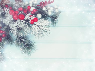 köknar dalları konileri ve kar ile kış arka plan