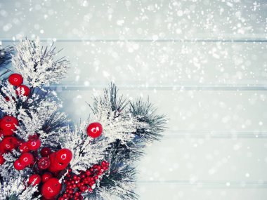 köknar dalları konileri ve kar ile kış arka plan