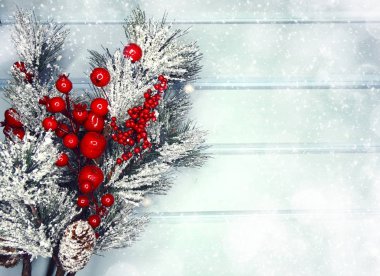 köknar dalları konileri ve kar ile kış arka plan