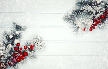 köknar dalları konileri ve kar ile kış arka plan