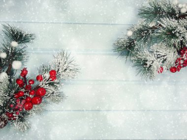 köknar dalları konileri ve kar ile kış arka plan