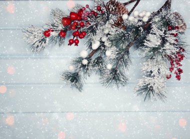 köknar dalları konileri ve kar ile kış arka plan