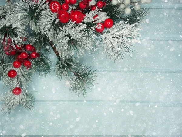 köknar dalları konileri ve kar ile kış arka plan