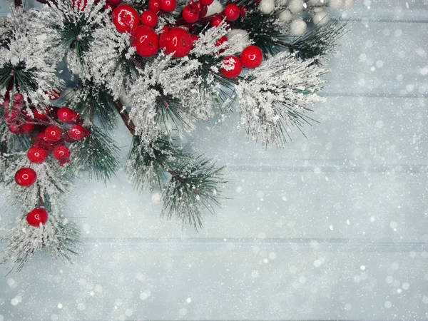 köknar dalları konileri ve kar ile kış arka plan