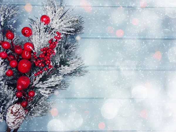 köknar dalları konileri ve kar ile kış arka plan