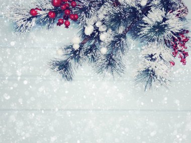 köknar dalları konileri ve kar ile kış arka plan