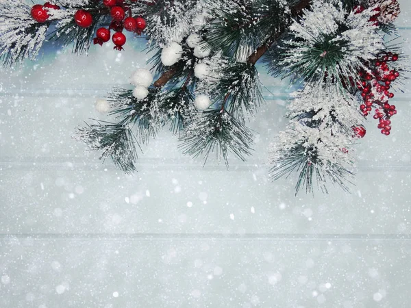 Téli háttér fenyő ágak kúpok és hó — Stock Fotó