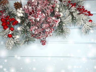 köknar dalları konileri ve kar ile kış arka plan