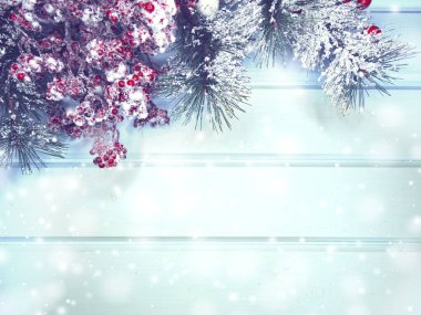 köknar dalları konileri ve kar ile kış arka plan