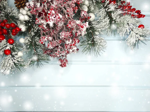 Winter achtergrond met dennentakken kegels en sneeuw — Stockfoto