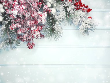 köknar dalları konileri ve kar ile kış arka plan