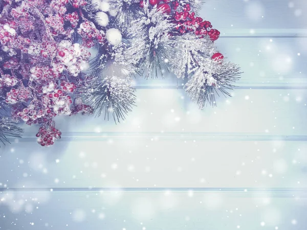 Winter background with fir branches cones and snow — Stock Photo, Image