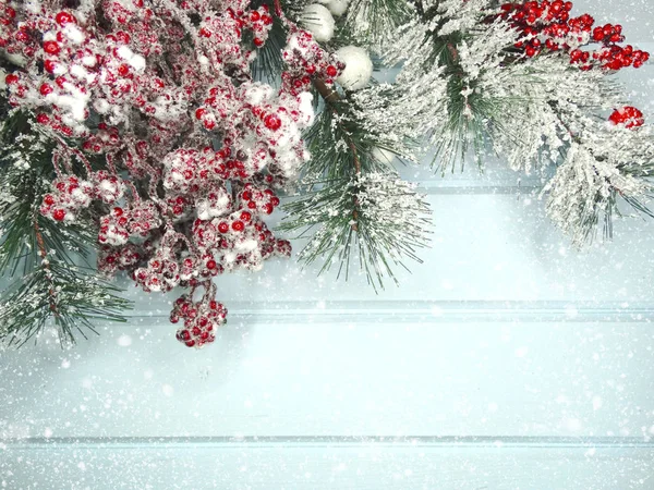 Winter background with fir branches cones and snow — Stock Photo, Image