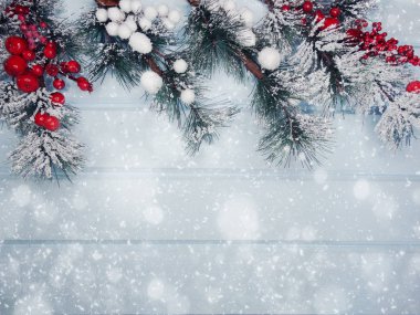 köknar dalları konileri ve kar ile kış arka plan