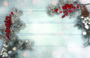 köknar dalları konileri ve kar ile kış arka plan