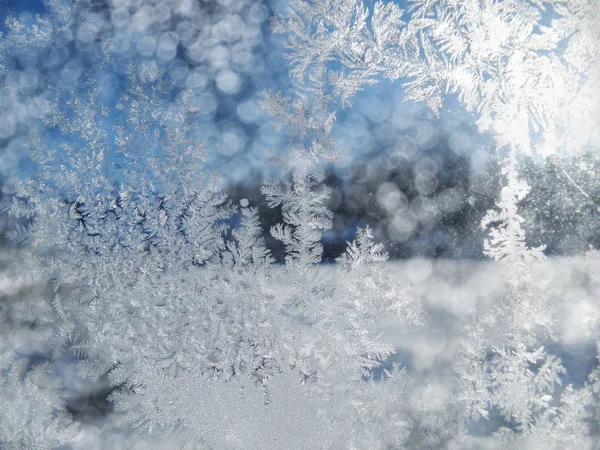 kar taneleri desenleri ve kar ile kış arka plan