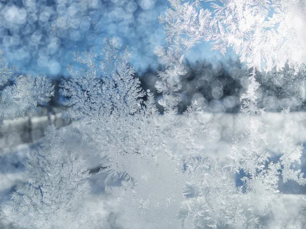 Winter background with snowflakes patterns and snow — Stock Photo, Image