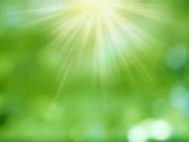 arka plan bahar Yeşil Sarı bulanık orman