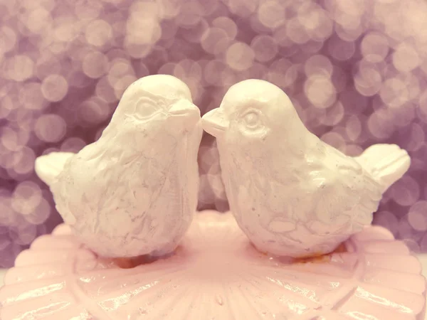 Caja de regalo de la tarjeta de boda con dos pájaros sobre fondo borroso — Foto de Stock