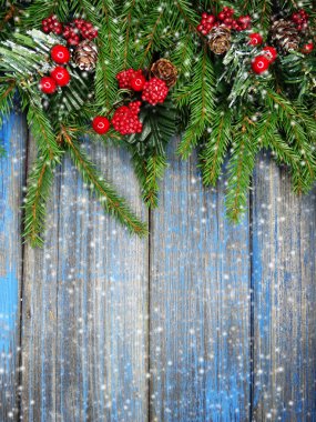 kar koni kış çilek ile Noel köknar ağacı şube