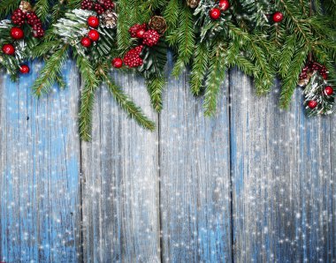kar koni kış çilek ile Noel köknar ağacı şube