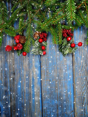 kar koni kış çilek ile Noel köknar ağacı şube