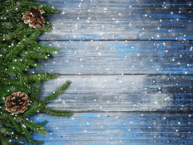 kar koni kış çilek ile Noel köknar ağacı şube