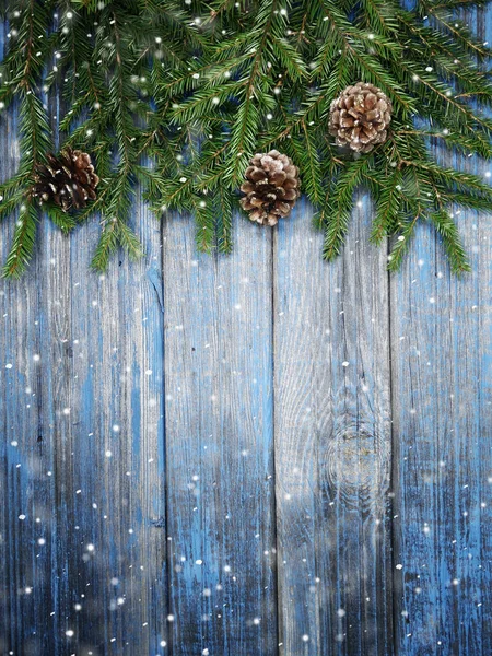 koniler kış kar ile noel köknar ağacı dalı