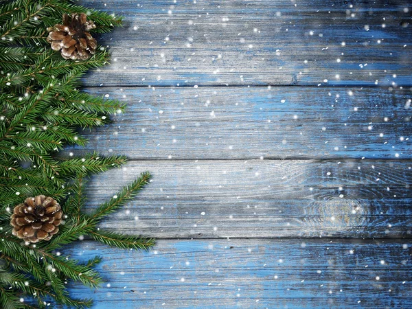 kar koni kış çilek ile Noel köknar ağacı şube