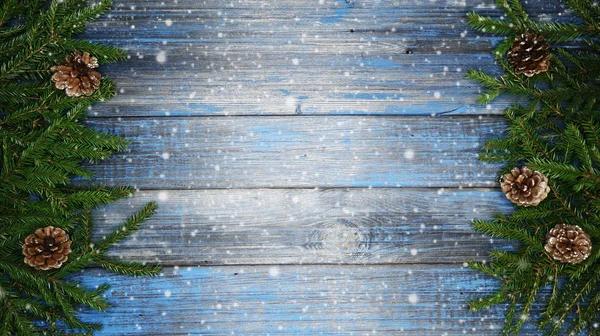 बर्फ मध्ये कोन हिवाळी बेरीसह ख्रिसमस फायर वृक्ष शाखा — स्टॉक फोटो, इमेज