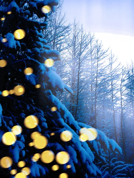 Winter landscape forest in snow frost with garland lights — Stock Photo, Image